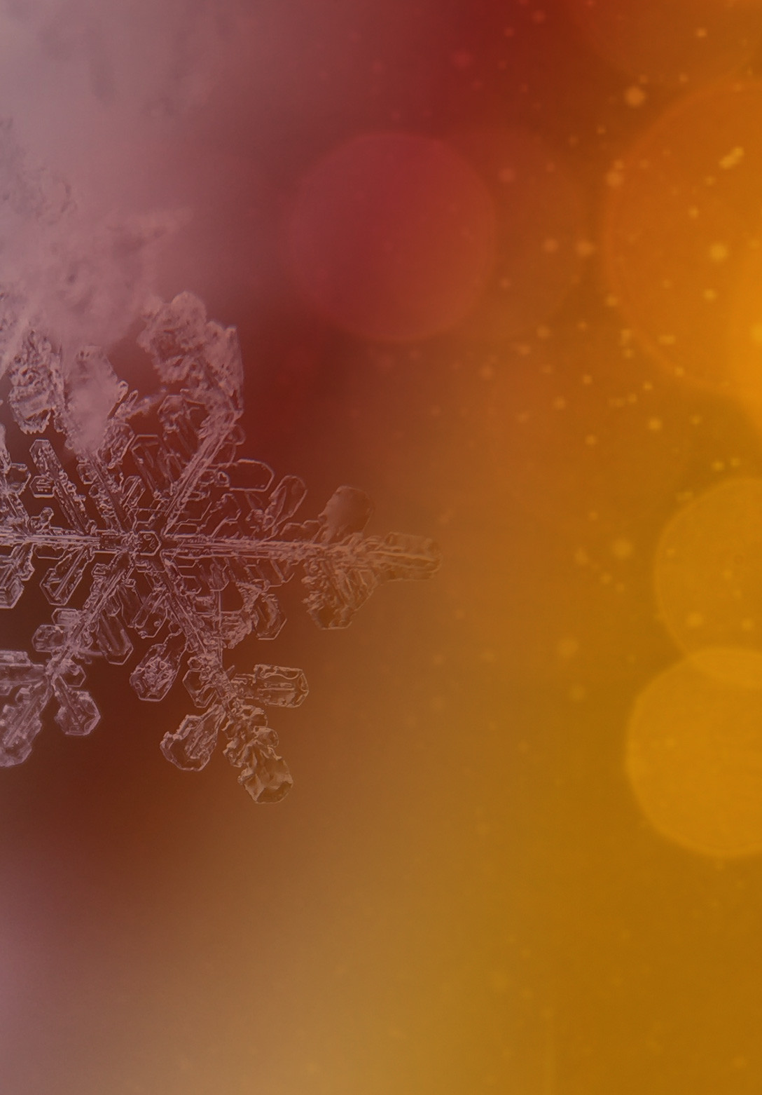 COVER MOBIEL ROODverloop